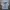 Nike Streetwear Casual Trench Coat Pria Gray