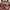 Bimba Y Lola Casual Bucket bag Wanita pink photo 6