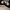 Converse Vintage Sneakers Pria white black photo 4