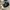 Converse Vintage Sneakers Pria white black photo 1