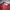 Minimalist Casual Crop top Wanita red photo 2