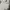 Forever 21 Vintage Casual Midi dress Wanita white black photo 2