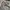 JanSport Streetwear Casual Bag Pria gray photo 6
