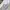 ZARA Vintage Casual Trench Coat Pria White Red Black