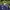 Asics Sportswear Windbreaker Pria navy photo 2