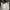 Michael Kors Casual Hobo Bag Wanita White