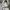 GAP Streetwear Hoody Pria White