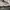 GAP Streetwear Hoody Pria white photo 3