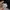 New Era Casual Sweater Pria green tan khaki black photo 4