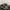 Nike Streetwear Y2K Sneakers Wanita white gray photo 2