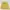 National Geographic Casual Sweater Pria Yellow