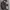 Carhartt Casual Track jacket Pria brown photo 4