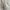 Evening dress Wanita cream photo 3