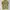 Streetwear Sportswear Formal shirt Pria yellow photo 6
