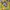 Streetwear Sportswear Formal shirt Pria yellow photo 7