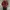 Kangol Casual Windbreaker Pria Red