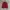 Kangol Casual Windbreaker Pria red photo 3