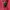 Kangol Casual Windbreaker Pria red photo 4