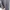Carhartt Casual Puffer jacket Pria navy photo 3