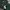 Dickies Streetwear Sweatshirt Pria green photo 3