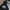 Dickies Streetwear Sportswear Sweatshirt Pria black photo 2