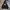 Dickies Streetwear Sportswear Sweatshirt Pria Black