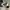 VANS Streetwear Casual Sneakers Wanita white black photo 2