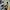 VANS Streetwear Casual Sneakers Wanita white black photo 3