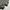 Adidas Luxury Hoody Pria multicolor photo 3