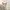 Uniqlo Casual Cardigan Pria white cream photo 8
