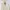 Uniqlo Casual Cardigan Pria white cream photo 3