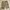 Vintage Casual Short Pria tan photo 1