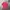 Casual T-shirt Pria red photo 6