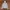 Casual Track jacket Pria white gray photo 5