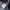 Avirex Streetwear Casual Parka Pria navy photo 8