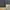 Dickies Luxury Skater Sweatshirt Pria navy photo 3