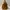 Couronne Casual Handbag Wanita brown photo 2