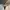 Polo Ralph Lauren Luxury Sweatshirt Pria white photo 5