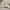 Polo Ralph Lauren Luxury Sweatshirt Pria white photo 4