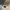 Polo Ralph Lauren Luxury Sweatshirt Pria white photo 6