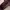 Furla Vintage Handbag Wanita burgundy photo 4
