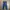 Uniqlo Casual Jeans Pria blue photo 4