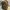 Streetwear Casual Shoulder bag Wanita khaki photo 3