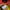 K2 Sportswear Windbreaker Pria multicolor photo 4