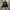 Casual Bomber jacket Pria black photo 4
