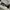 VANS Skater Sneakers Pria white black photo 4