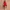 Casual Casual Dress Wanita Red