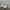 Adidas Streetwear Minimalist Casual Shoe Pria White Black