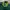 MLB Streetwear Y2K Bomber jacket Pria green yellow photo 3