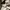 Arc'teryx Y2K Gorpcore Windbreaker Pria red black photo 7